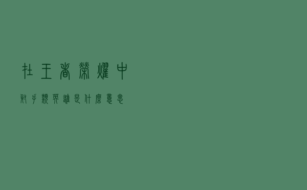 在王者荣耀中，射手类英雄是什么意思