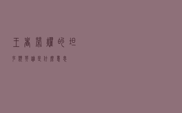 王者荣耀的坦克类英雄是什么意思
